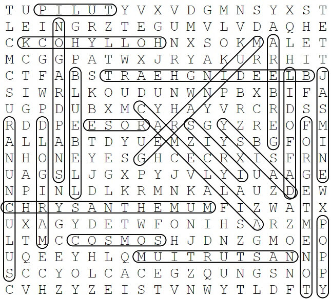 Flowers Word Search 1 Solution