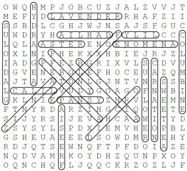 Flowers Word Search Puzzle