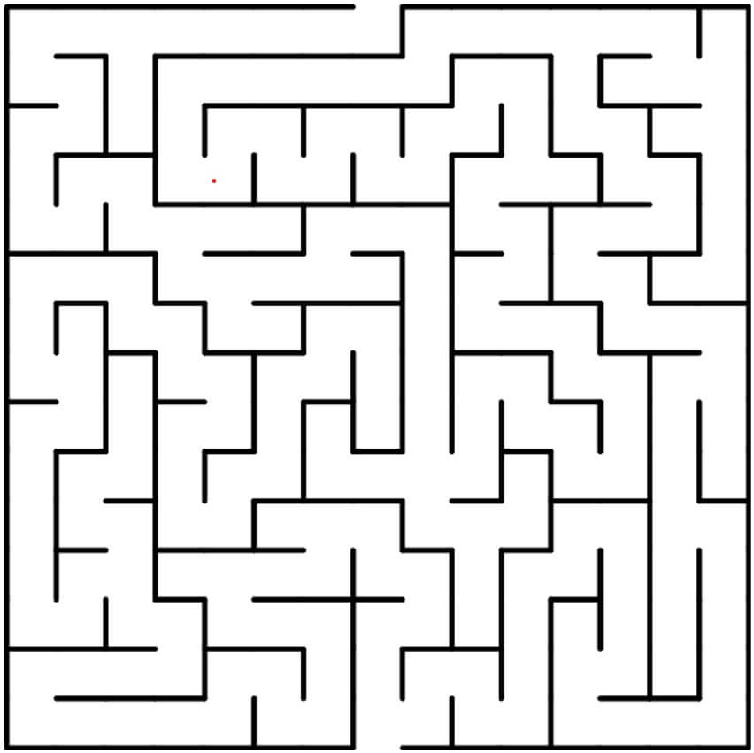 Maze Puzzle - Daily Puzzle Challenge